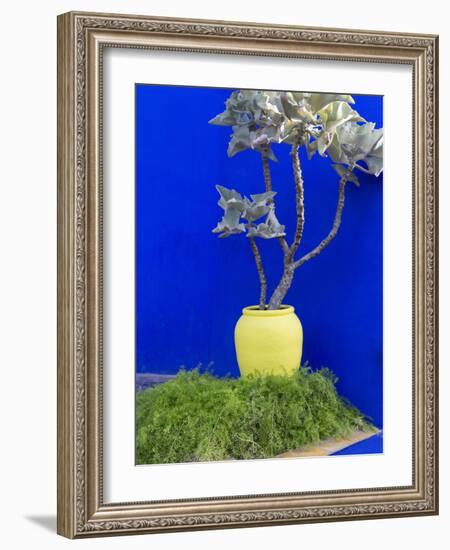 Detail of Potted Plant Against Blue Wall-Stephen Studd-Framed Photographic Print