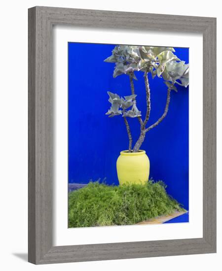 Detail of Potted Plant Against Blue Wall-Stephen Studd-Framed Photographic Print