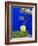 Detail of Potted Plant Against Blue Wall-Stephen Studd-Framed Photographic Print