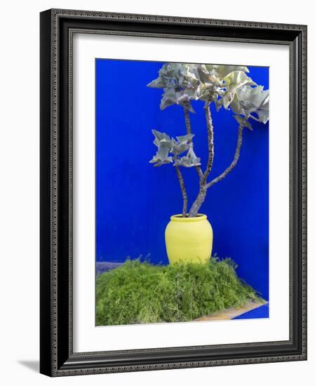 Detail of Potted Plant Against Blue Wall-Stephen Studd-Framed Photographic Print