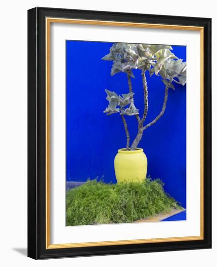 Detail of Potted Plant Against Blue Wall-Stephen Studd-Framed Photographic Print