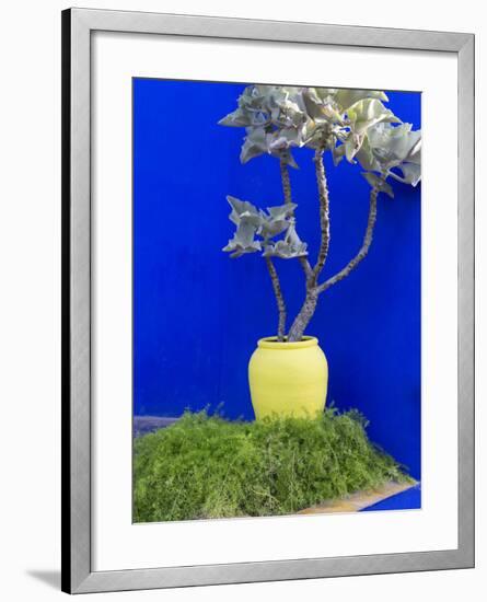 Detail of Potted Plant Against Blue Wall-Stephen Studd-Framed Photographic Print