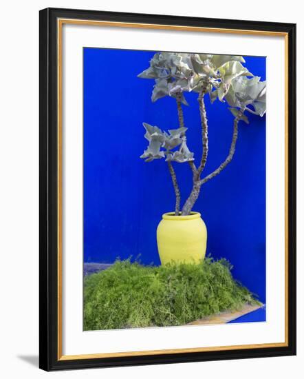 Detail of Potted Plant Against Blue Wall-Stephen Studd-Framed Photographic Print