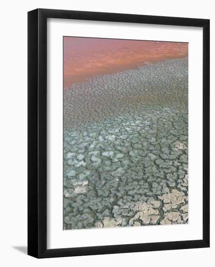 Detail of Salinas, Salt Cay Island, Turks and Caicos, Caribbean-Walter Bibikow-Framed Photographic Print