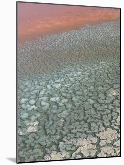 Detail of Salinas, Salt Cay Island, Turks and Caicos, Caribbean-Walter Bibikow-Mounted Photographic Print