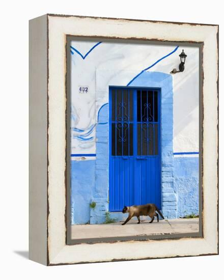 Detail of Siamese Cat in Doorway with Wrought Iron Cover, Puerto Vallarta, Mexico-Nancy & Steve Ross-Framed Premier Image Canvas