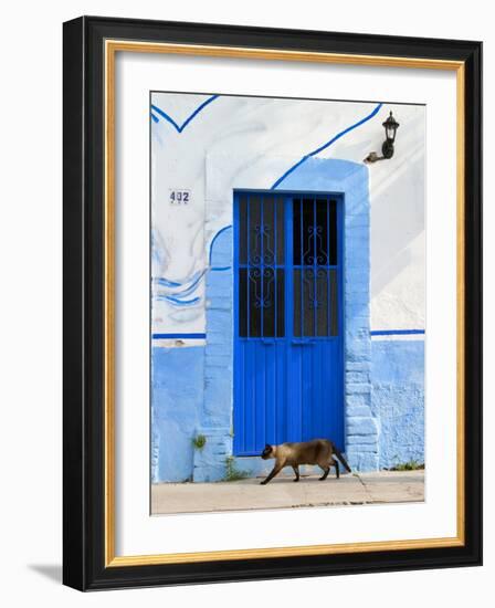 Detail of Siamese Cat in Doorway with Wrought Iron Cover, Puerto Vallarta, Mexico-Nancy & Steve Ross-Framed Photographic Print