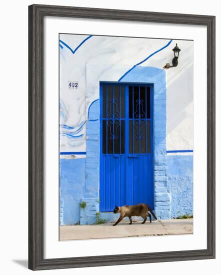 Detail of Siamese Cat in Doorway with Wrought Iron Cover, Puerto Vallarta, Mexico-Nancy & Steve Ross-Framed Photographic Print