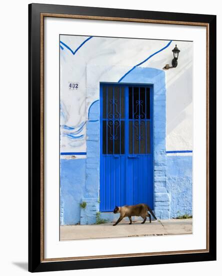 Detail of Siamese Cat in Doorway with Wrought Iron Cover, Puerto Vallarta, Mexico-Nancy & Steve Ross-Framed Photographic Print