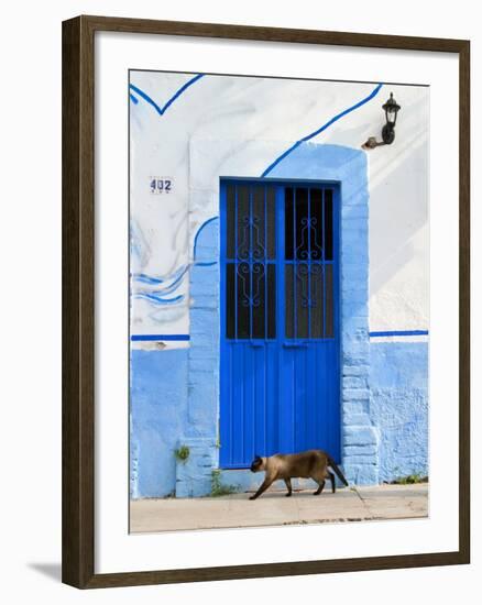 Detail of Siamese Cat in Doorway with Wrought Iron Cover, Puerto Vallarta, Mexico-Nancy & Steve Ross-Framed Photographic Print