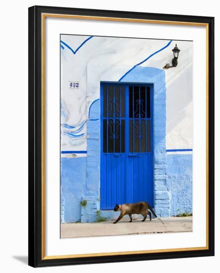 Detail of Siamese Cat in Doorway with Wrought Iron Cover, Puerto Vallarta, Mexico-Nancy & Steve Ross-Framed Photographic Print