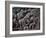 Detail of South Gate of the Great Stupa, Sanchi, Near Bhopal, Madhya Pradesh State, India-Woolfitt Adam-Framed Photographic Print