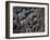 Detail of South Gate of the Great Stupa, Sanchi, Near Bhopal, Madhya Pradesh State, India-Woolfitt Adam-Framed Photographic Print