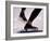 Detail of Speed Skater,S Feet at the Start, Inzell-Chris Cole-Framed Photographic Print