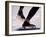 Detail of Speed Skater,S Feet at the Start, Inzell-Chris Cole-Framed Photographic Print