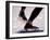 Detail of Speed Skater,S Feet at the Start, Inzell-Chris Cole-Framed Photographic Print