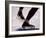 Detail of Speed Skater,S Feet at the Start, Inzell-Chris Cole-Framed Photographic Print