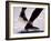 Detail of Speed Skater,S Feet at the Start, Inzell-Chris Cole-Framed Photographic Print