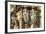 Detail of Stonework, York Minster, North Yorkshire-Peter Thompson-Framed Photographic Print