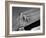 Detail of the Brooklyn Bridge-Alfred Eisenstaedt-Framed Photographic Print