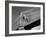 Detail of the Brooklyn Bridge-Alfred Eisenstaedt-Framed Photographic Print