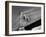 Detail of the Brooklyn Bridge-Alfred Eisenstaedt-Framed Photographic Print