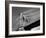 Detail of the Brooklyn Bridge-Alfred Eisenstaedt-Framed Photographic Print