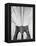 Detail of the Brooklyn Bridge-Alfred Eisenstaedt-Framed Premier Image Canvas