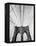 Detail of the Brooklyn Bridge-Alfred Eisenstaedt-Framed Premier Image Canvas