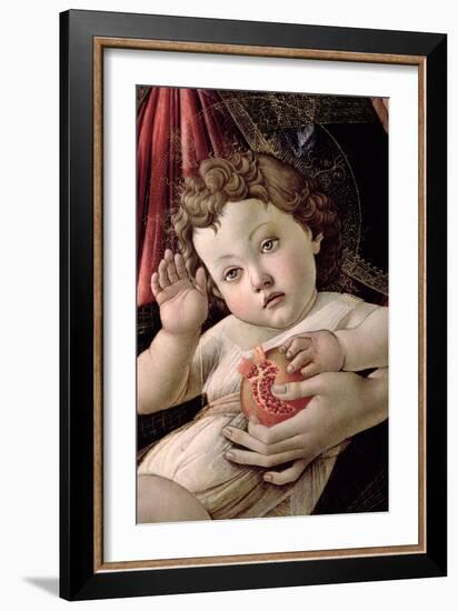 Detail of the Child with Pomegranate from the Madonna Della Melagrana-Sandro Botticelli-Framed Giclee Print
