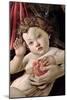 Detail of the Child with Pomegranate from the Madonna Della Melagrana-Sandro Botticelli-Mounted Giclee Print