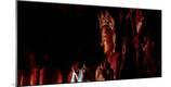 Premium Photographic Print