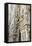Detail of the Duomo (Cathedral), Milan, Lombardy, Italy, Europe-Yadid Levy-Framed Premier Image Canvas