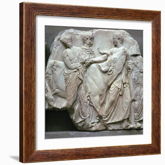 Detail of the Elgin Marbles, 5th century BC-Phidias-Framed Giclee Print