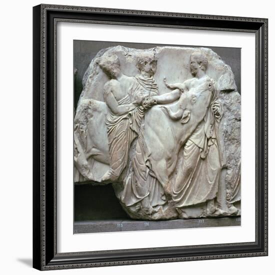 Detail of the Elgin Marbles, 5th century BC-Phidias-Framed Giclee Print