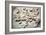 Detail of the Elgin Marbles, 5th century BC-Unknown-Framed Giclee Print