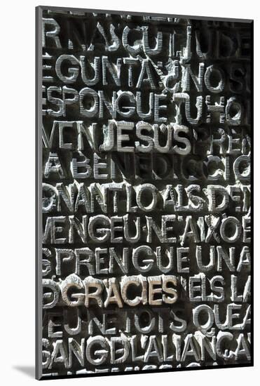Detail of the Entrance Door to Sagrada Familia, Barcelona, Catalunya, Spain, Europe-James Emmerson-Mounted Photographic Print