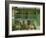 Detail of the Exterior of a House with a Green Door and Woodwork, Arenas De San Pedro, Spain-Michael Busselle-Framed Photographic Print