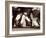 Detail of the Feet of a Group of Ruby Players in a Scrum, Paris, France-null-Framed Photographic Print