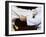 Detail of the Hands of Judo Competitors in Action-null-Framed Photographic Print