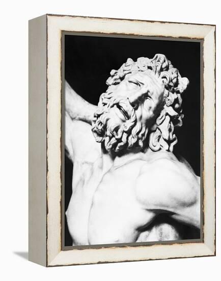 Detail of the Head of Laocoon from the Laocoon Group-null-Framed Premier Image Canvas