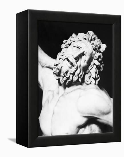 Detail of the Head of Laocoon from the Laocoon Group-null-Framed Premier Image Canvas