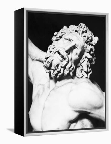 Detail of the Head of Laocoon from the Laocoon Group-null-Framed Premier Image Canvas