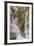 Detail of the Last Judgment, Sistine Chapel, 1534-41-Michelangelo Buonarroti-Framed Giclee Print