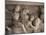 Detail of the Marble Sarcophagus of Alexander the Great, Topkapi, Istanbul, Turkey-Adam Woolfitt-Mounted Photographic Print