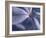 Detail of the Petals of a Blue Flower-Murray Louise-Framed Photographic Print