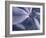 Detail of the Petals of a Blue Flower-Murray Louise-Framed Photographic Print