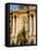 Detail of the Royal Palace, Budapest, Hungary-Prisma-Framed Premier Image Canvas