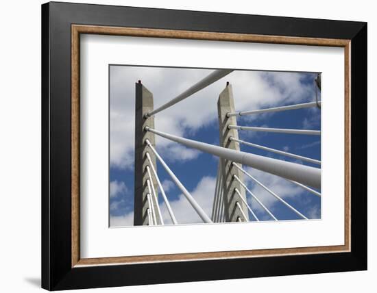 Detail of Tilikum Crossing bridge, Portland, Oregon, USA-Panoramic Images-Framed Photographic Print