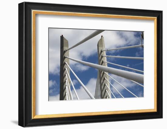 Detail of Tilikum Crossing bridge, Portland, Oregon, USA-Panoramic Images-Framed Photographic Print